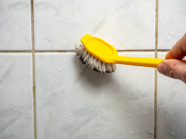 Best Insurance-Related Mold Remediation in Gleason, TN