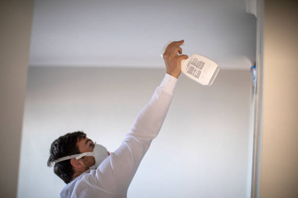 Best Post-Flood Mold Remediation in Gleason, TN